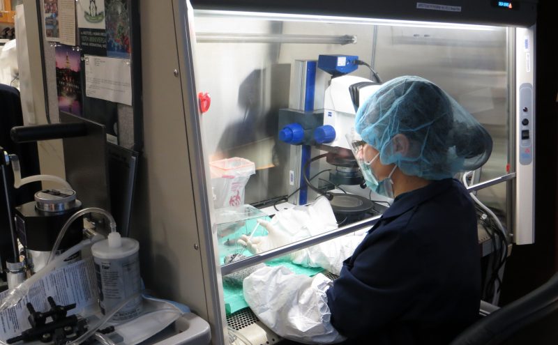 Smu institutional repository picture